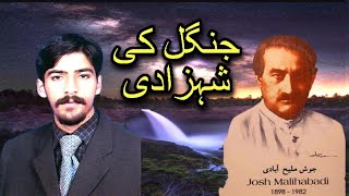 Jungle ki shehzadi of josh maleeh abadi ! josh. jungle ki shahzadi ! poetry