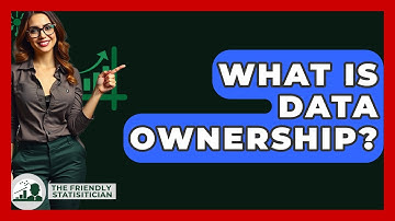 What Is Data Ownership? - The Friendly Statistician