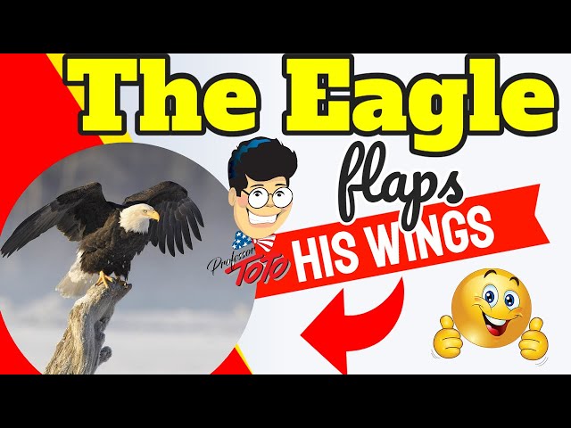 The Eagle Has Flapped His Wings - LOYALTY to TRUMP...