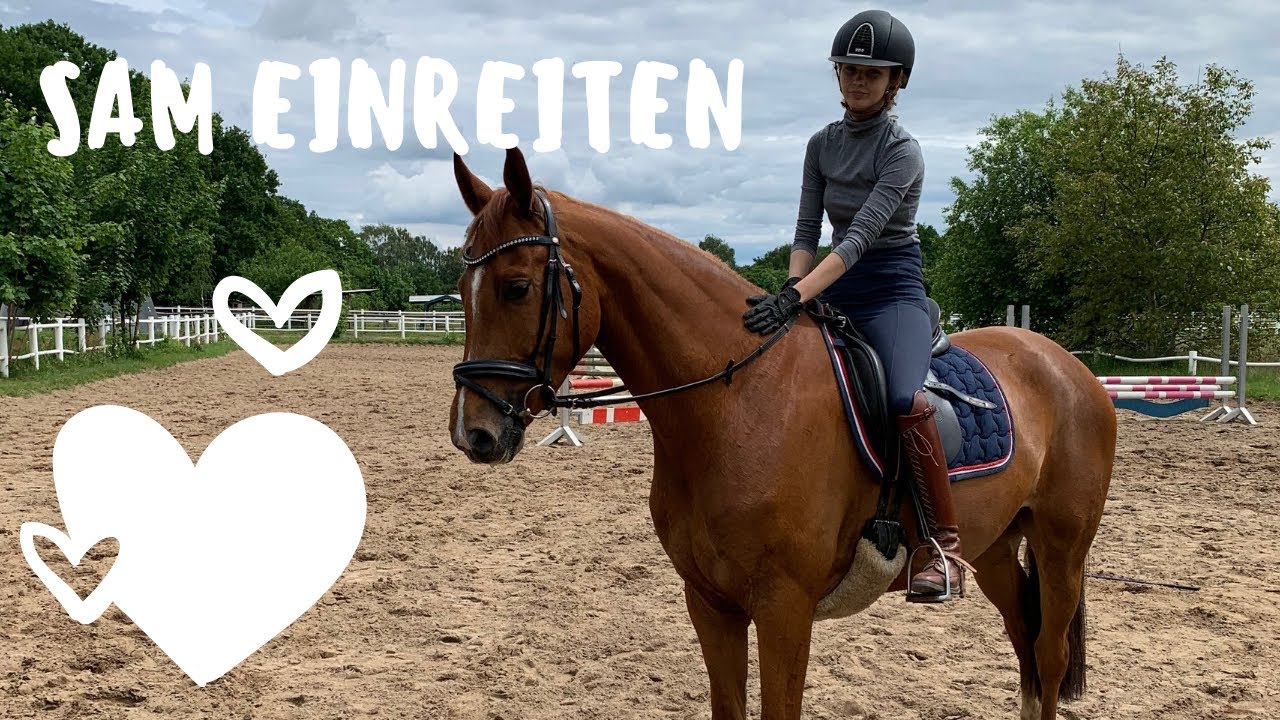 Loesdau Lessons: Basics mit Kati: Anreiten, Anhalten und Paraden auf dem Pferd