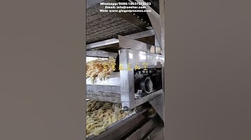 Candy Ginger Slice Making Machine