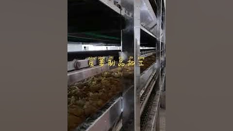 Candy Ginger Slice Making Machine