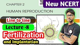 Fertilization And Implantation | Human Reproduction Class 12 ncert | Fertilization in hindi #neet