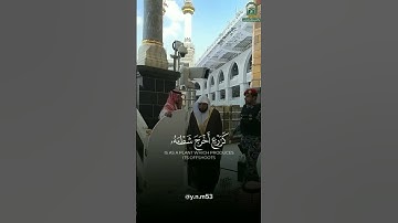 ﴿محمد رسول الله﴾🌻✨القارئ: #ماهرالمعيقلي 🎤سورة:  الفتح📖 آية: ٢٩🌻 #quran #القرآن_الكريم #الله