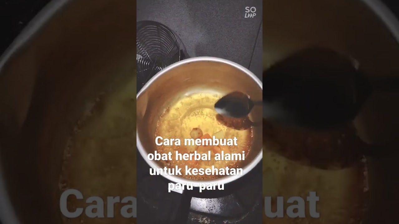cara membuat obat herbal alami untuk kesehatan paru-paru