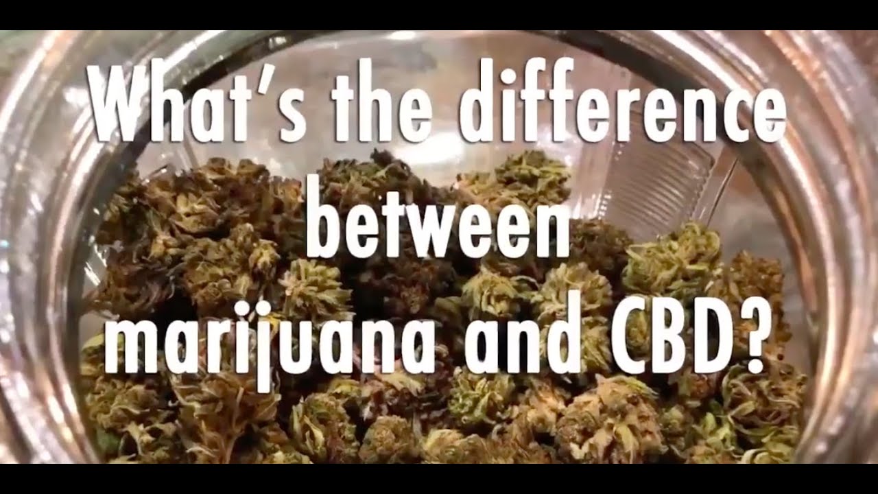 Inside Look To One Of The First CBD Dispensaries In Charlotte, NC