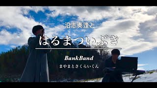 はるまついぶき/BankBand  を演奏する男子たち