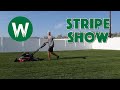 STRIPE SHOW | Power Rotary Scissors