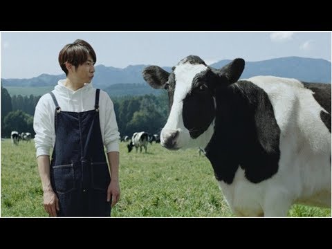 嵐・相葉雅紀、新CMの相方は牛？　漫才風の掛け合いに「セリフのテンポがモーレツ早くて…」