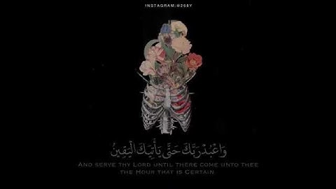 آيات تريح القلب للقارئ هزاع البلوشي
