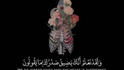 آيات تريح القلب للقارئ هزاع البلوشي