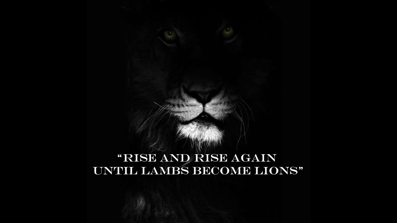 Download Erwachte menschen For iPhone Free Erwachte Menschen