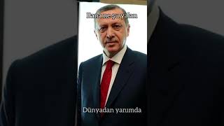 Bir Elmanın Iki Yarısı