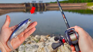 The Most HATED Swimbait in Bass Fishing... Is LUNKERSTV Right?