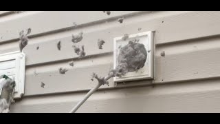 Cleaning a DRYER VENT! What Happened to Work Ethic?! #almetaldryervent #satisfying #viral #funny