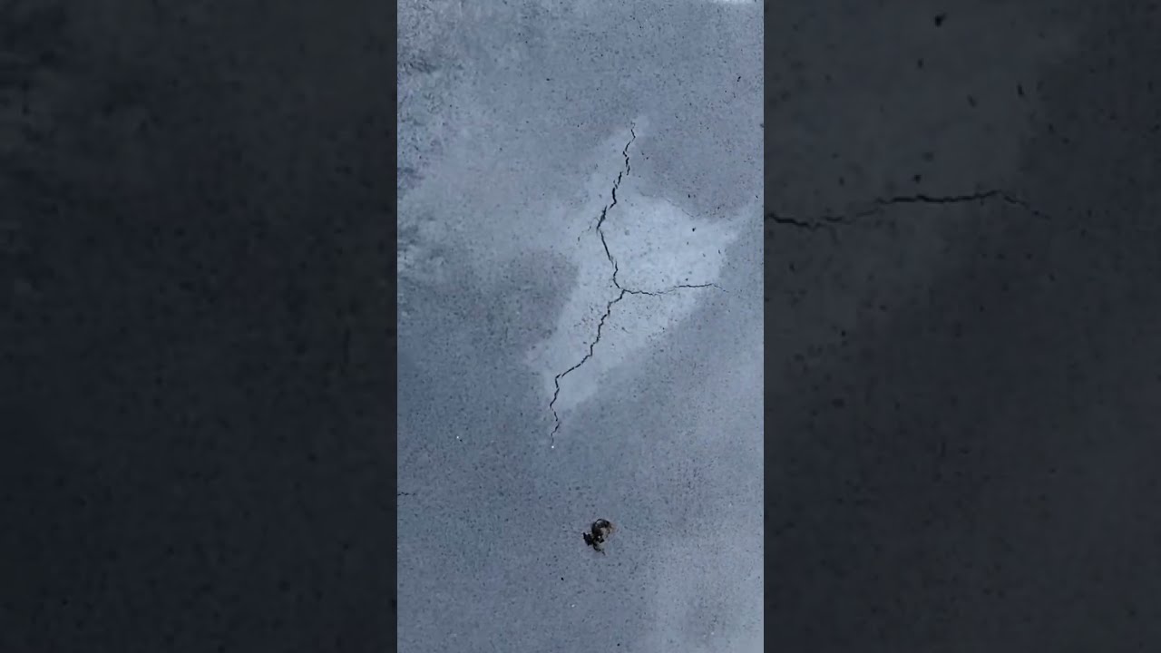 How To Fix Cracks In Fresh Concrete Howto Contractor Satisfying Construction