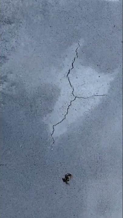 How to fix cracks in fresh concrete #concrete #howto #contractor #satisfying #construction