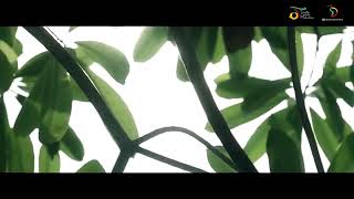 Download Lagu FILDAN TERIMAKASIHKU MP3