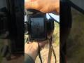 So Many Bird Species in One Video | Nature Reel#ytshorts #birds #shorts #canon