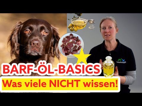 Video: Auswahl der besten Gelenkergänzung für einen Mastiff - 6 Dinge, die Sie wissen müssen