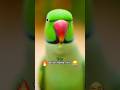 Tote ko viral hona hai!#talkingparot#parrotcomedy#trendingshorts#talkingparot#viralvideo#parrot#fun