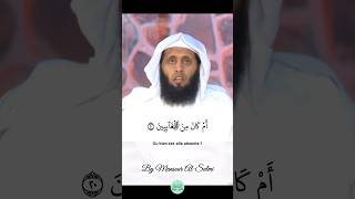 SURAH AN-NAML سورة النمل || By Mansour Al Salmi بصوت منصور السالمي #iqrau_quran #quran #النمل