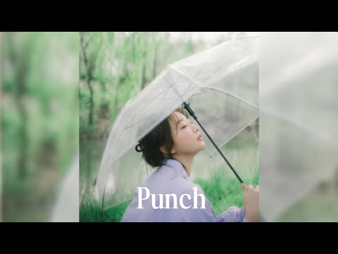 ᴘʟᴀʏʟɪsᴛ 펀치 노래 모음 신곡 포함 잔잔한 감성 Punch 