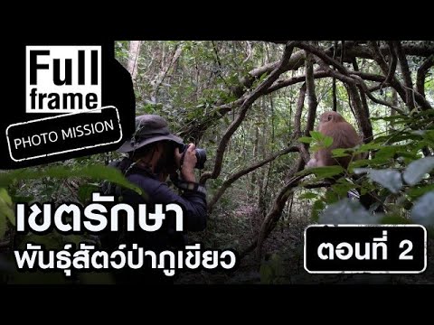 เขตรักษาพันธุ์สัตว์ป่าภูเขียว ตอนที่ 2 : Full Frame Photo Mission (6 ก.พ. 64)