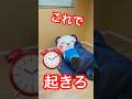 朝起きられないみんなへ。。。⏰