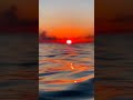 #shorts POV watching sunset in the ocean