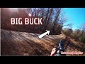 DEER DOG DRIVES!!! (HUGE BUCK RUNS RIGHT UP ON ME!)