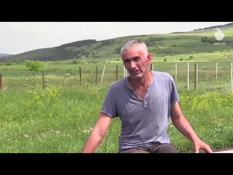 სარდიონ სადღობელაშვილი - ახალშენიდან (ზნაური) დევნილი