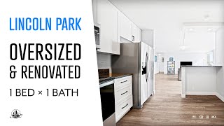 2626 N Lakeview Ave Unit 3804 Chicago IL Matt Laricy Group Drone Tour Listing