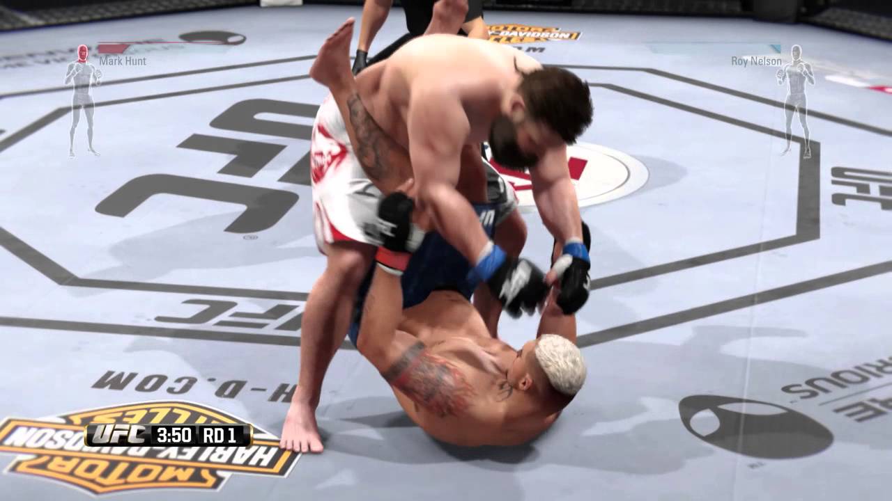 UFC FIGHT NIGHT : HUNT VS NELSON