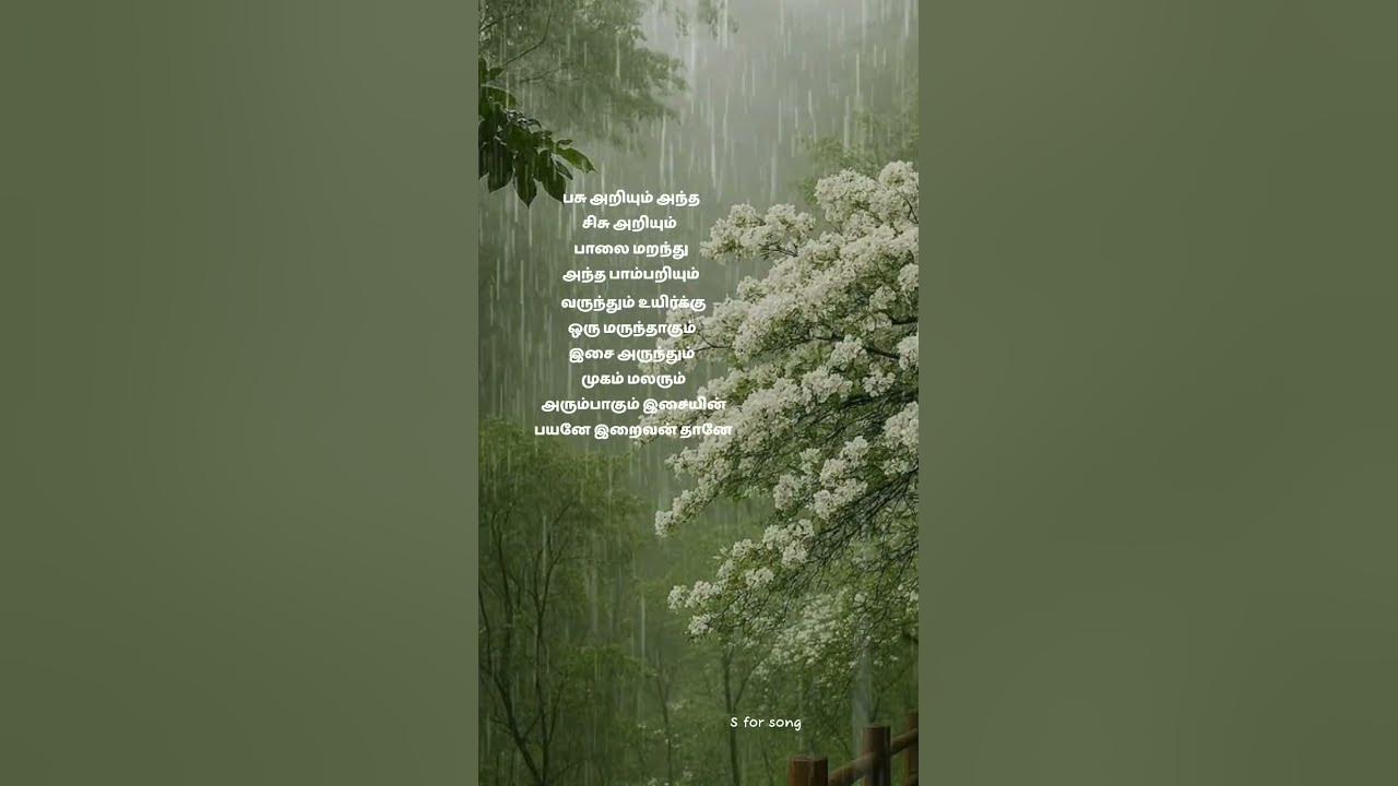 Kaatril Varum Geethame #bhavadharani #shereyagoshal  #sadhanasargam