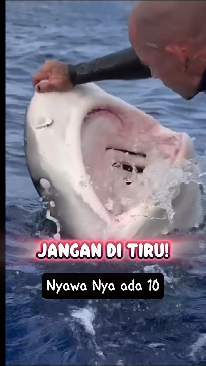 Aksi Gila! Pria Ini Nekat Memancing  Hiu Raksasa Muncul dengan Tangan Kosong! #ikan #hiu #shorts