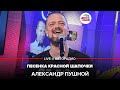 Александр Пушной - Песенка Красной Шапочки (cover version) LIVE @ Авторадио