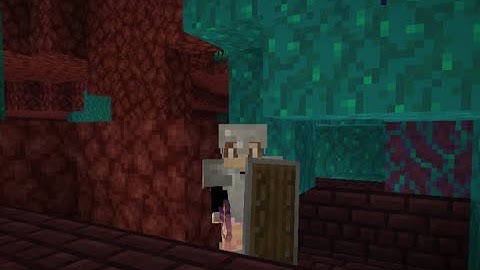 Minecraft Part 3! Nether Exploring!