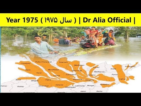  1975 سال ١٩٧۵   