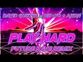 David Guetta feat. Ne-Yo & Akon - Play Hard (Future Rave Remix)[Official Audio]