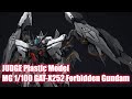 JUDGE plastic model MG 1/100 GAT-X252 Forbidden Gundam - Custom Build