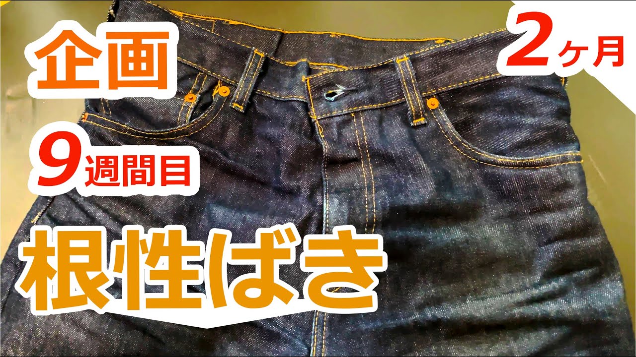 リーバイス経年劣化9週目2カ月】リジットデニム（生デニム）を8ヶ月 