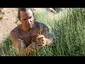 Primitive Mormon Tea from Ephedra Stems