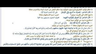 اسئلة شاملة قواعد اللغة العربية للصف السادس الاعدادي 2023