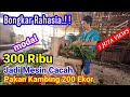 MESIN CACAH MODAL 300 RIBU  PART 2