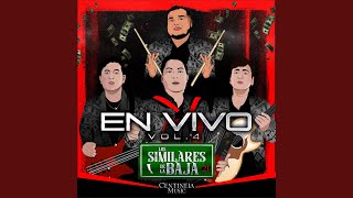 Video thumbnail of "Los Similares de la Baja - Plumas de Buen Gallo - En Vivo"