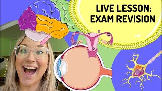 Live Lesson: Exam Revision | Eye and nervous system