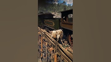 p945 Simulate great survival skills , #shorts