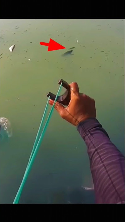 Ketapel ikan yang lagi ngambang