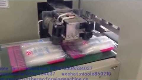 automatic counting and packing machine for two line